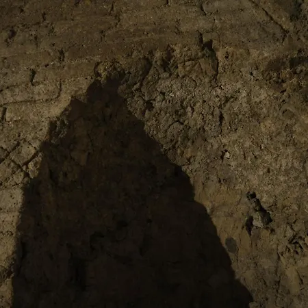 Terme Neronensis فندق